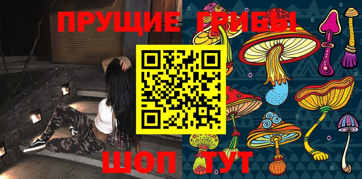 Галлюциногенные грибы Psilocybine cubensis Луховицы